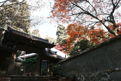 仕事は休業中、紅葉は播州、書写山圓教寺にて５