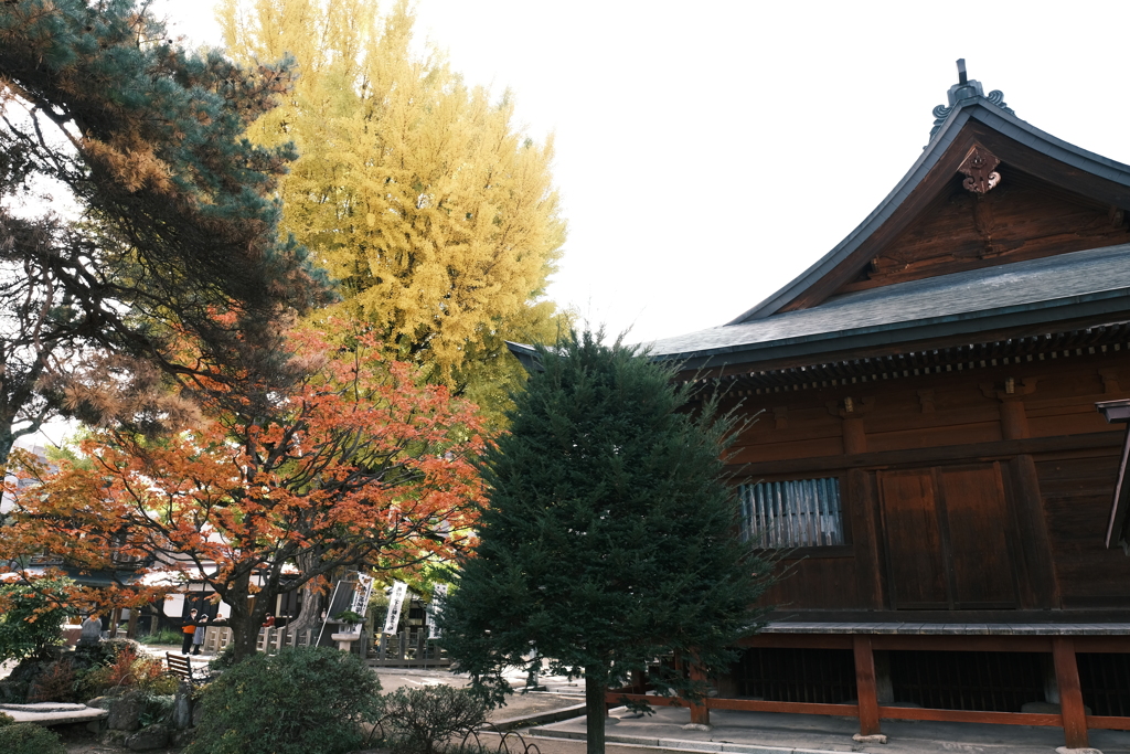 飛騨高山の紅葉巡り２