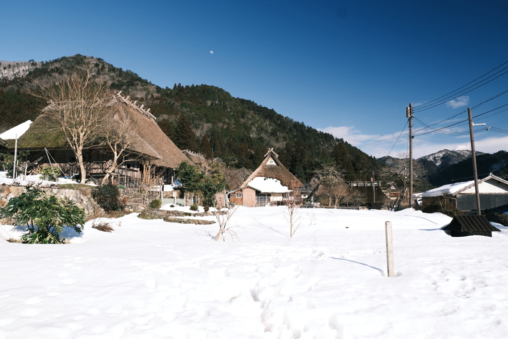 雪が残る中で少しずつ近づいた春１４