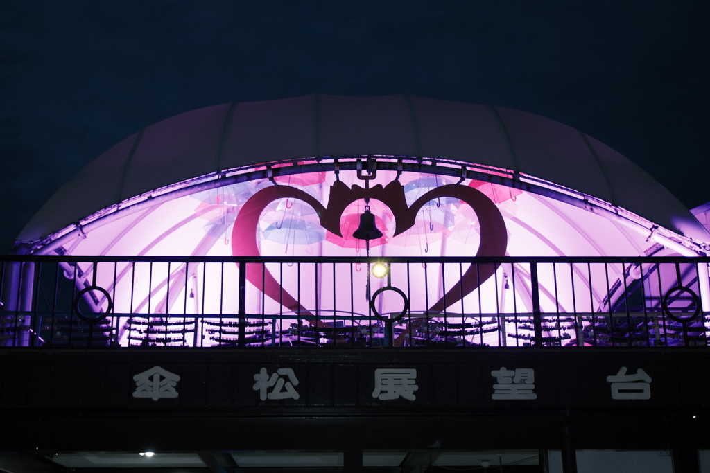 天橋立傘松公園ライトアップ１