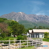桜島を巡る旅９