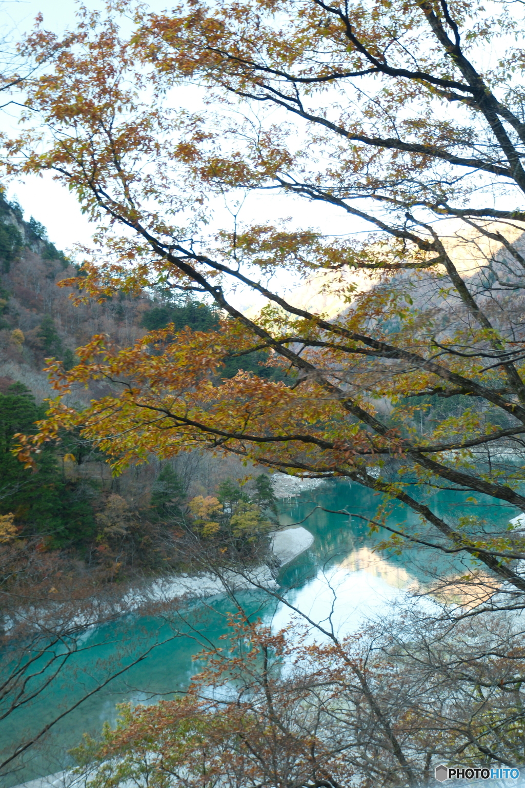 トロッコ列車に乗って2024-1