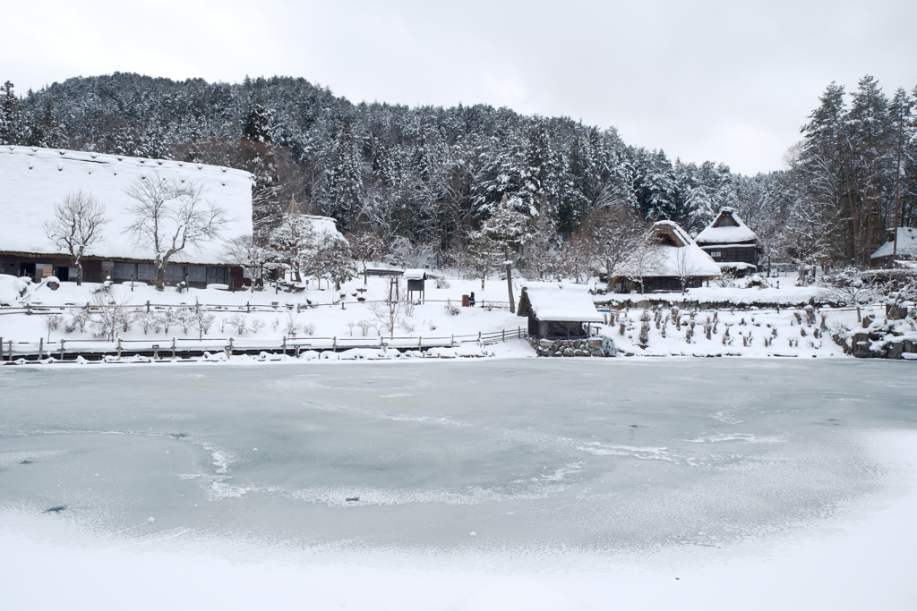 1月末大雪で水漏れの被害に、たまたまの年休で1泊2日の旅へ１３