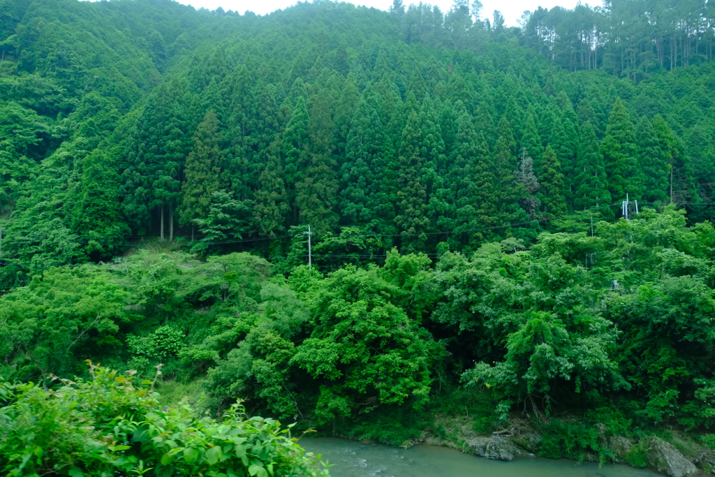 福知山線の車窓から見えた光景１