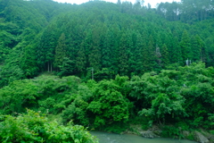 福知山線の車窓から見えた光景１