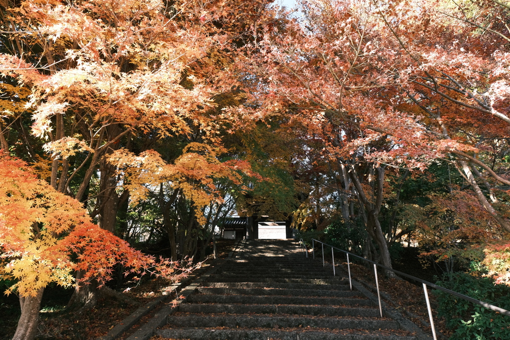 所変わって安国寺４