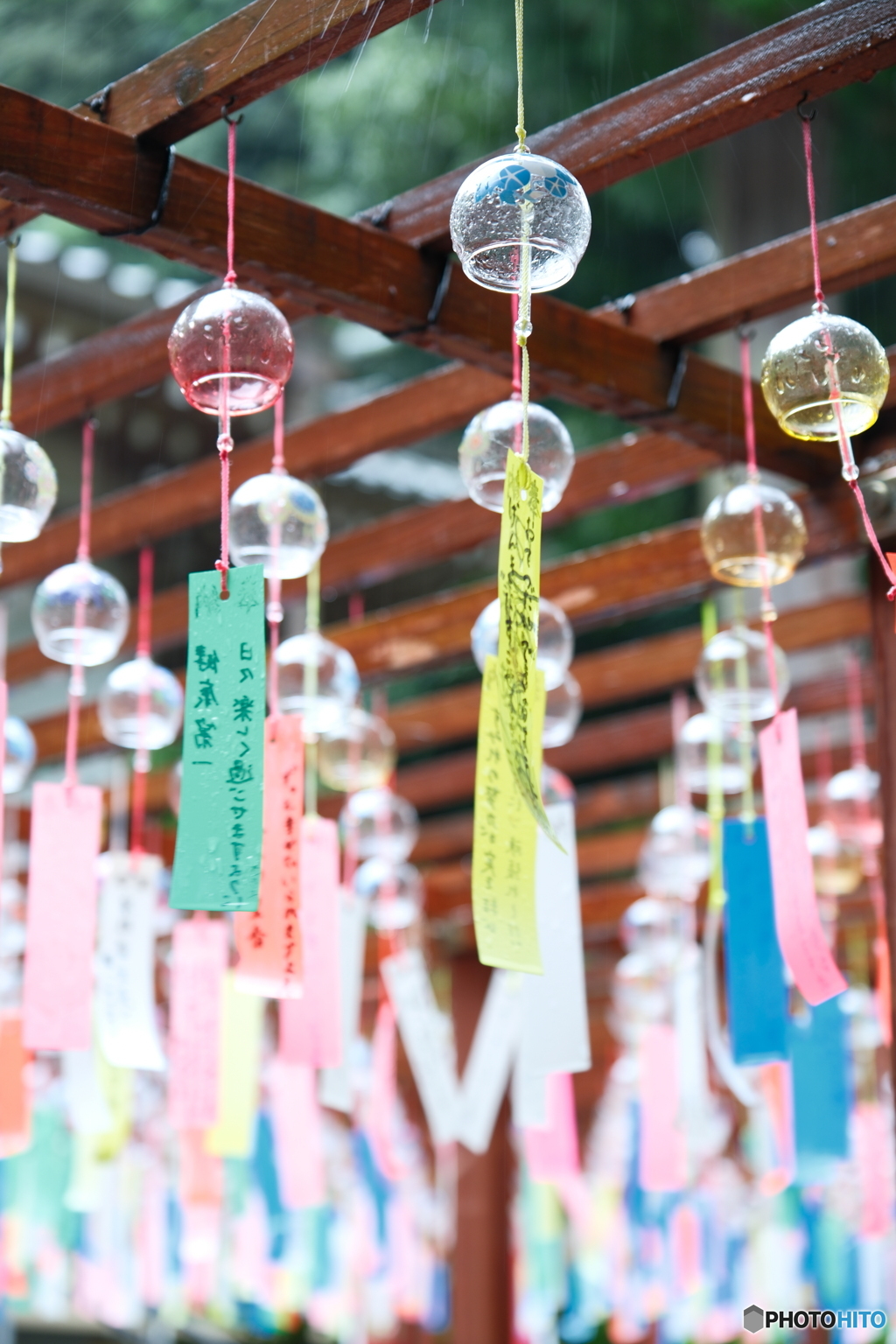 盆休み早々の雨の中だった時１０