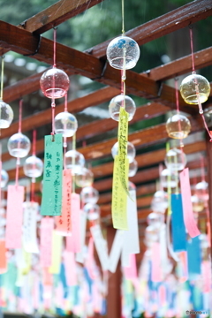 盆休み早々の雨の中だった時１０