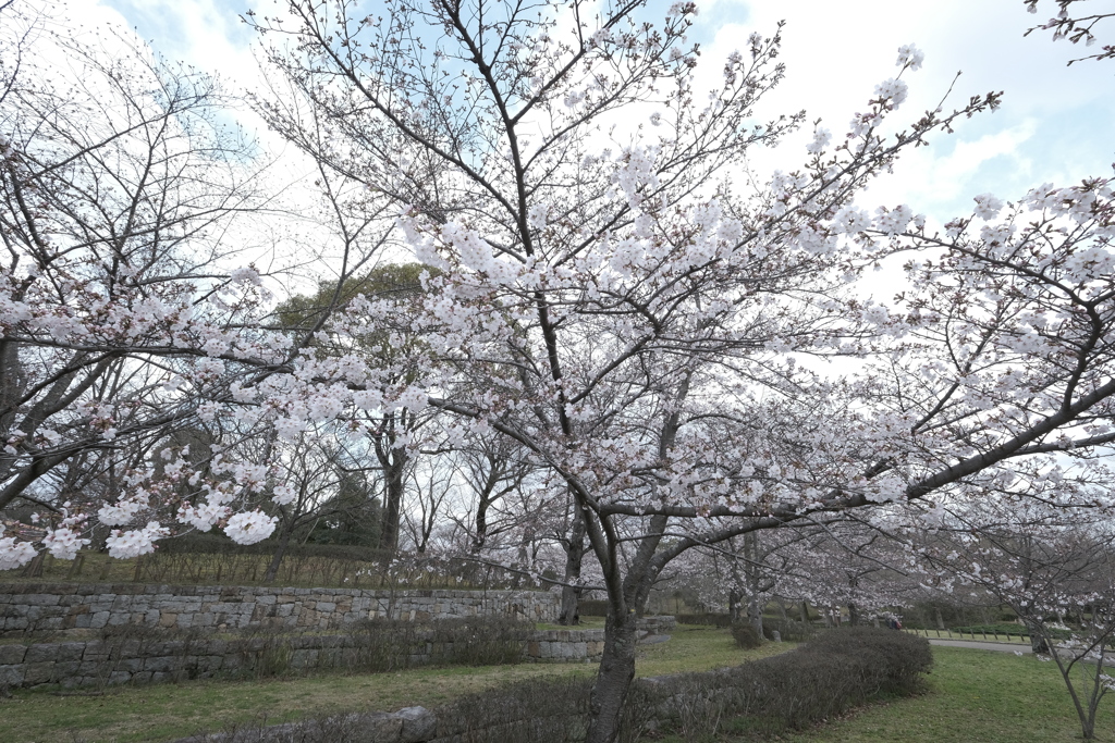 なけなしの休日は雨ばかり２