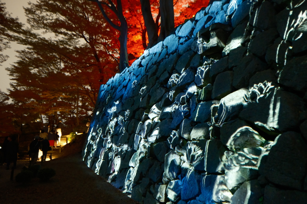 チームラボ 金沢城 光の祭１