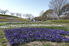 一日中絶好のお写んぽ日和３