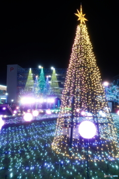 都城まちなかイルミネーション2025-5