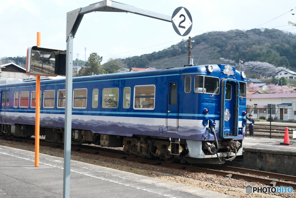 島根県桜巡り２日目、木次駅にて１