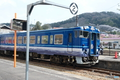 島根県桜巡り２日目、木次駅にて１