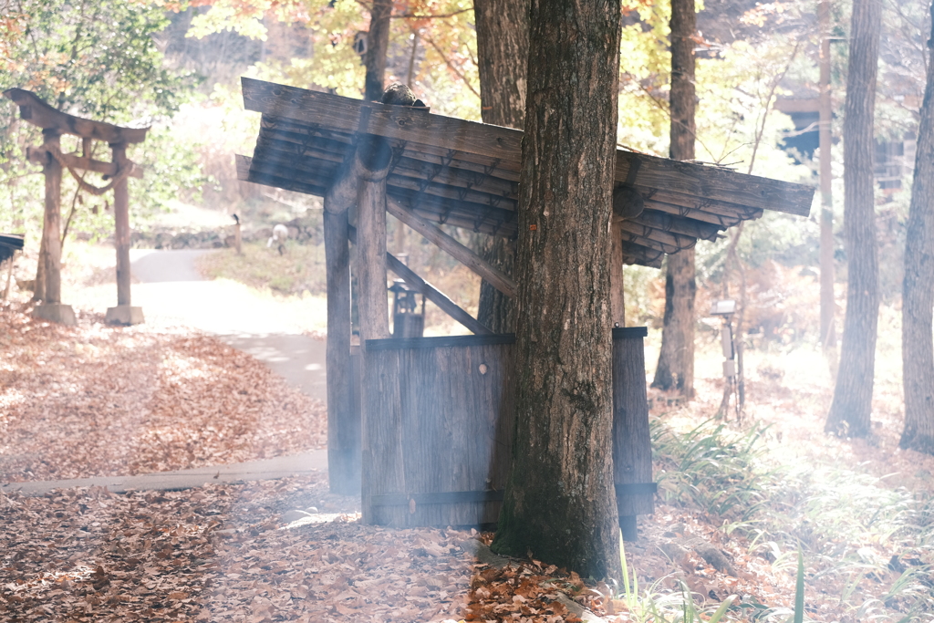 朝晩最早冬の寒さとなった紅葉の旅４