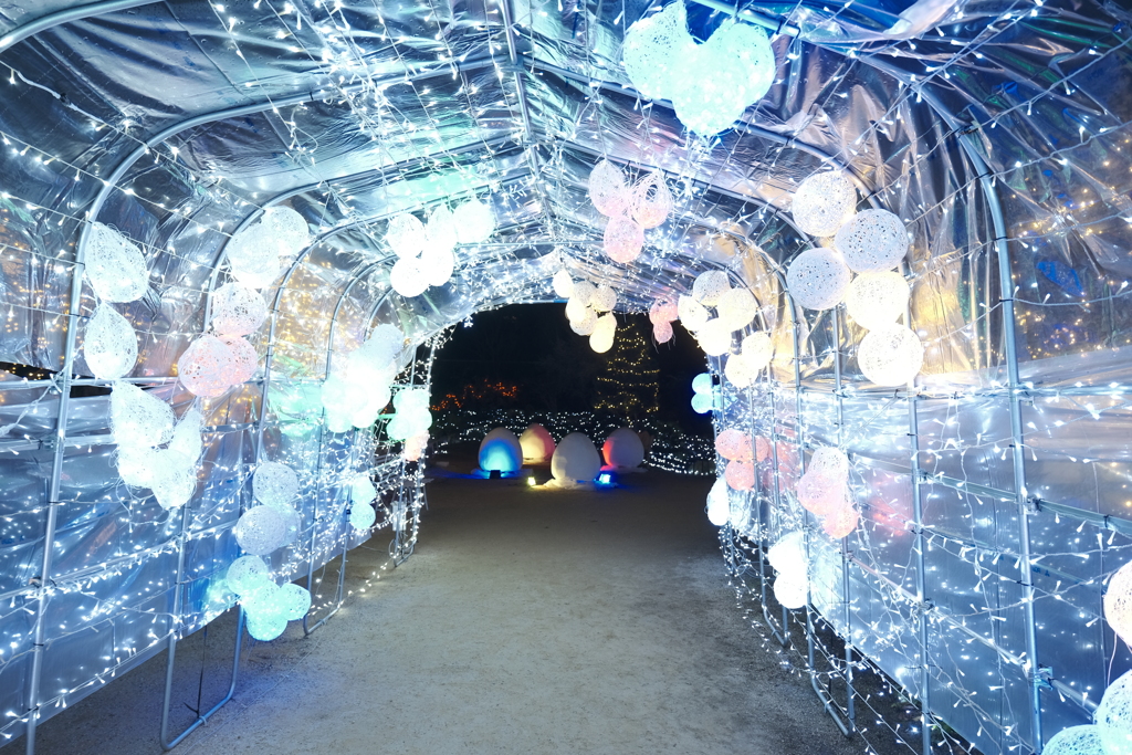 びわ湖大津館2021イルミネーション「妖精たちと幻想的な光の世界」１８