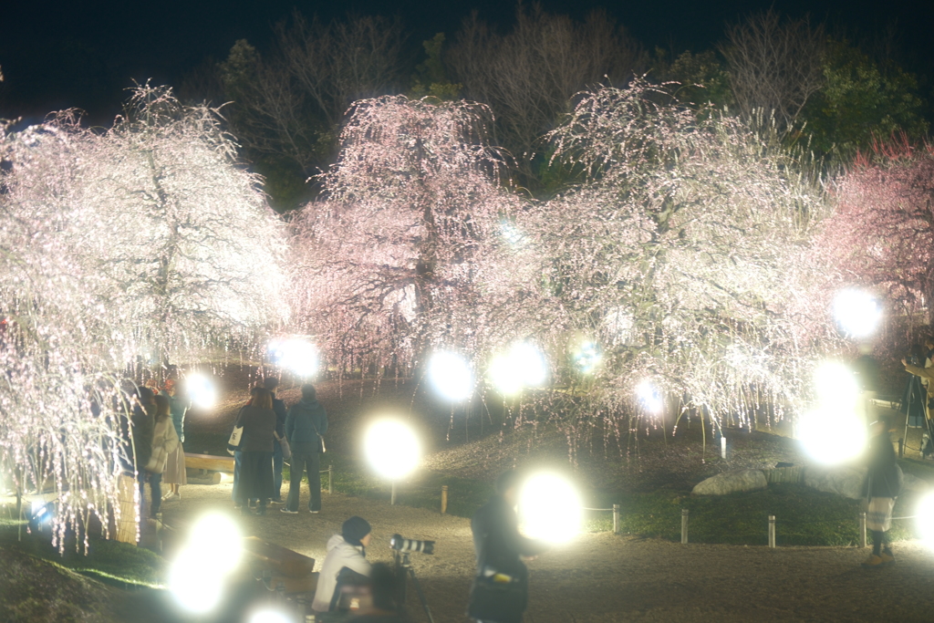 今年の3月は少し寒かった時１４