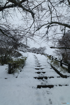 本鬼の大雪１８