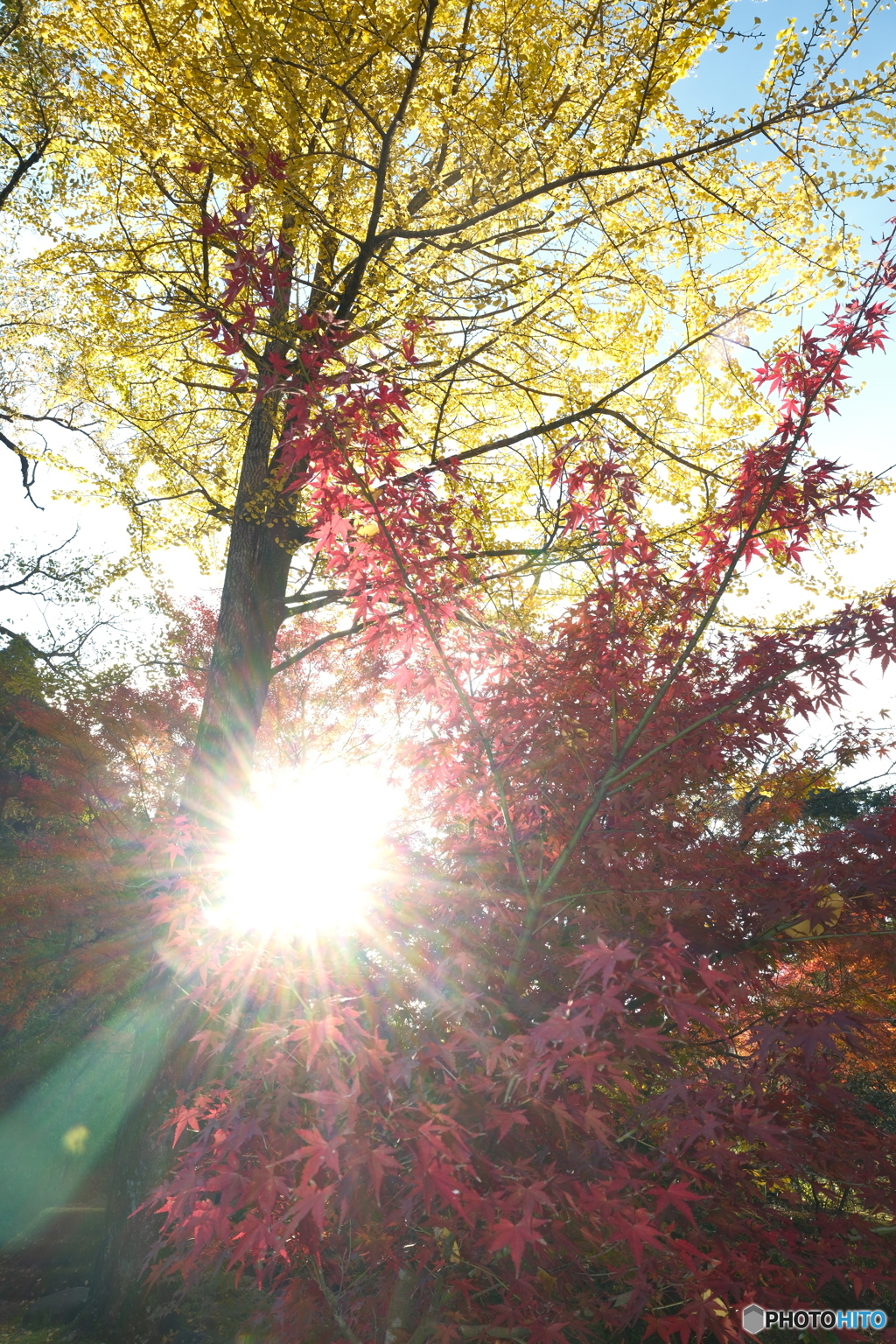 秘境で穴場な紅葉の旅１８