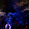 下鴨神社 糺の森の光の祭２
