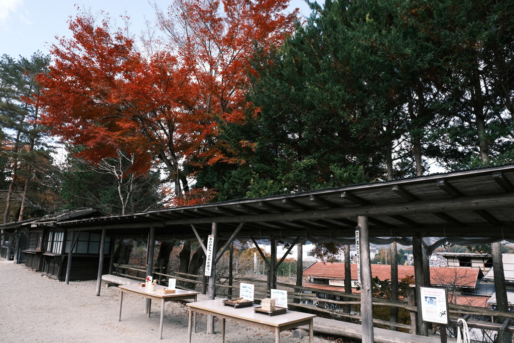 朝晩最早冬の寒さとなった紅葉の旅６