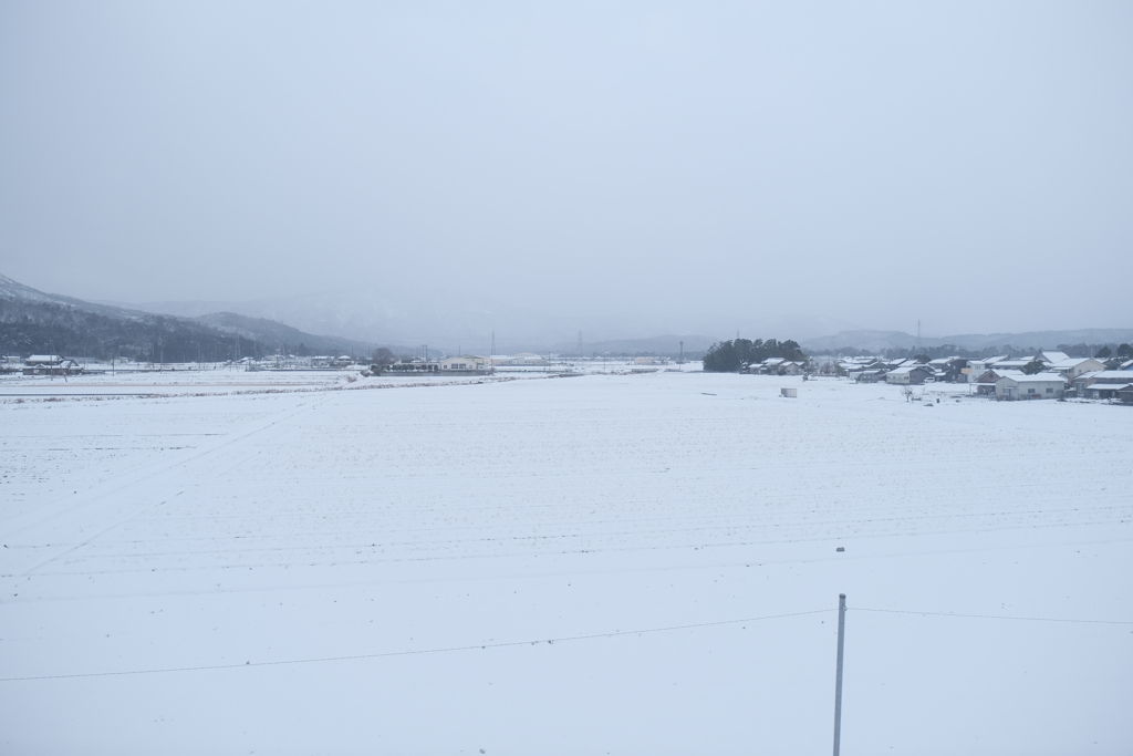湖西線にて、電車の車窓からの雪景色４