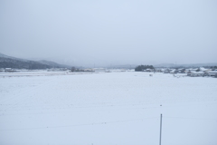 湖西線にて、電車の車窓からの雪景色４