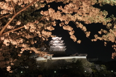桜は満開、花見客は満杯な姫路城の夜桜１