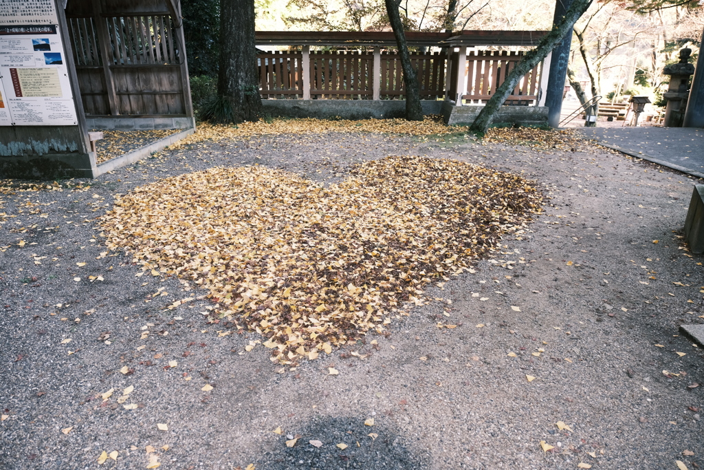 イルミネーションまでの時間潰し、思った以上ネタがない時１