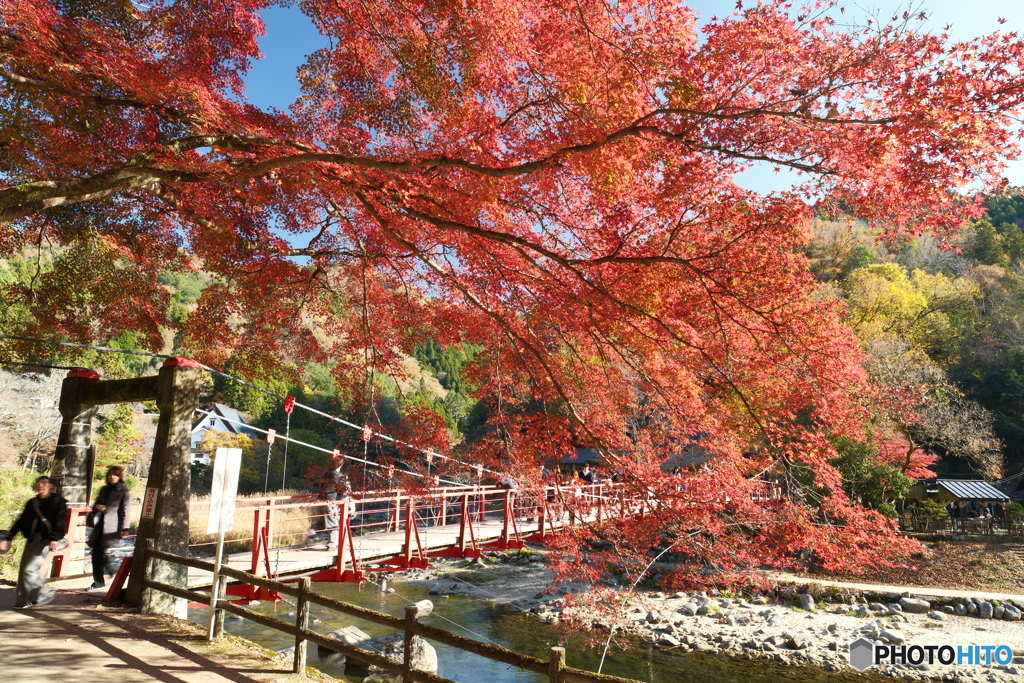 香嵐渓の紅葉２０