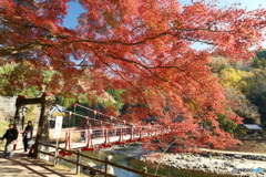 香嵐渓の紅葉２０