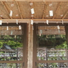 6月末も真夏に劣らぬ暑さの風鈴２