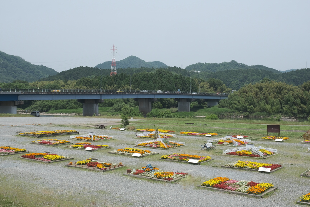6月にして真夏にような暑さ３