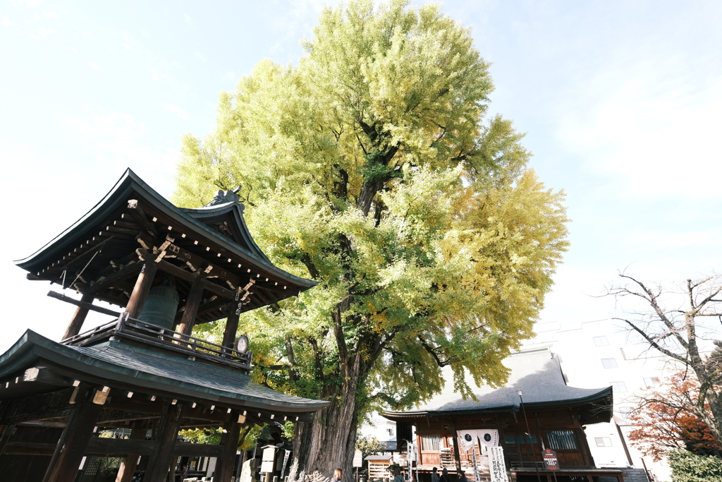 飛騨高山の紅葉巡り３