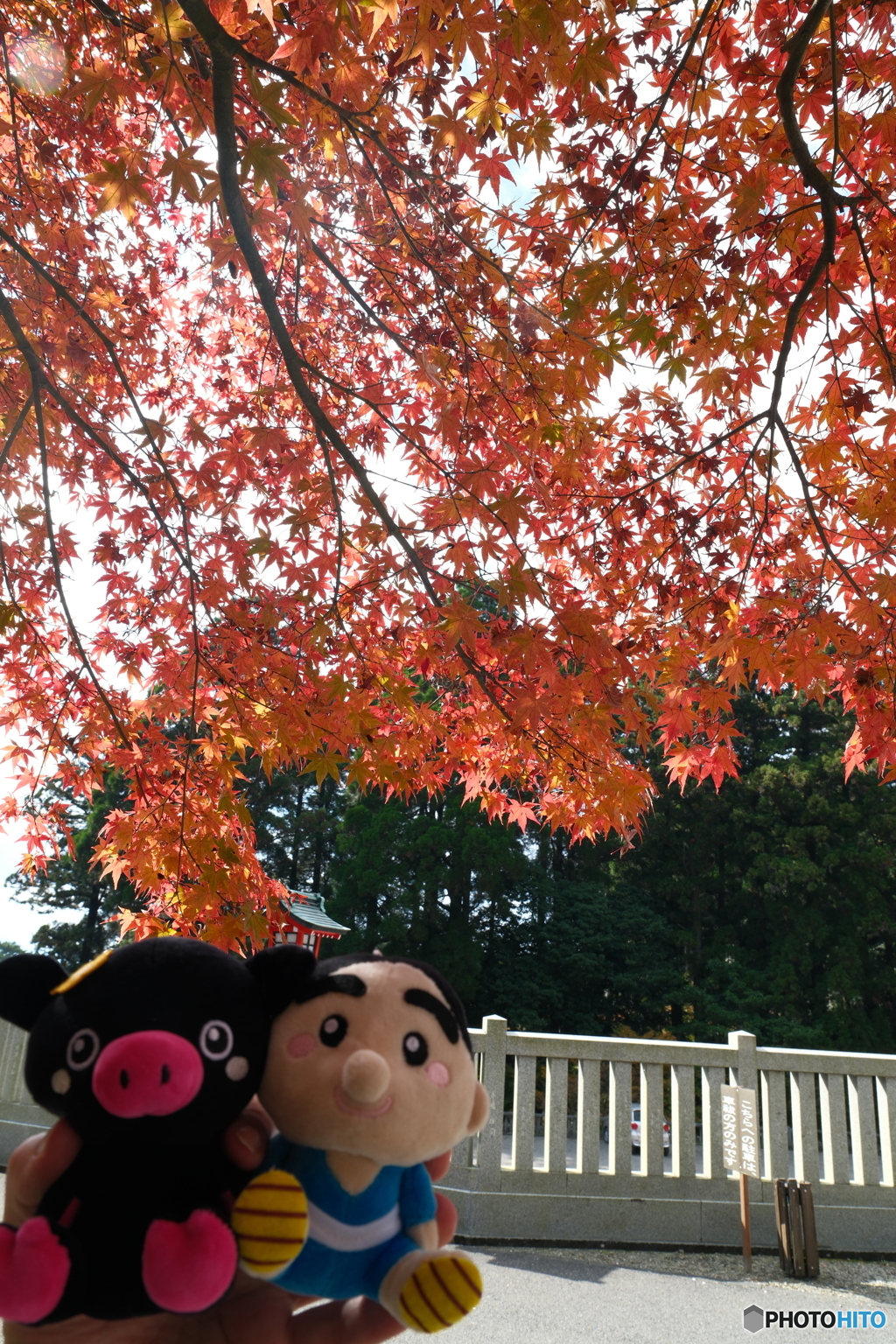 思えば九州で紅葉を撮りに行くのは初めての旅だった２