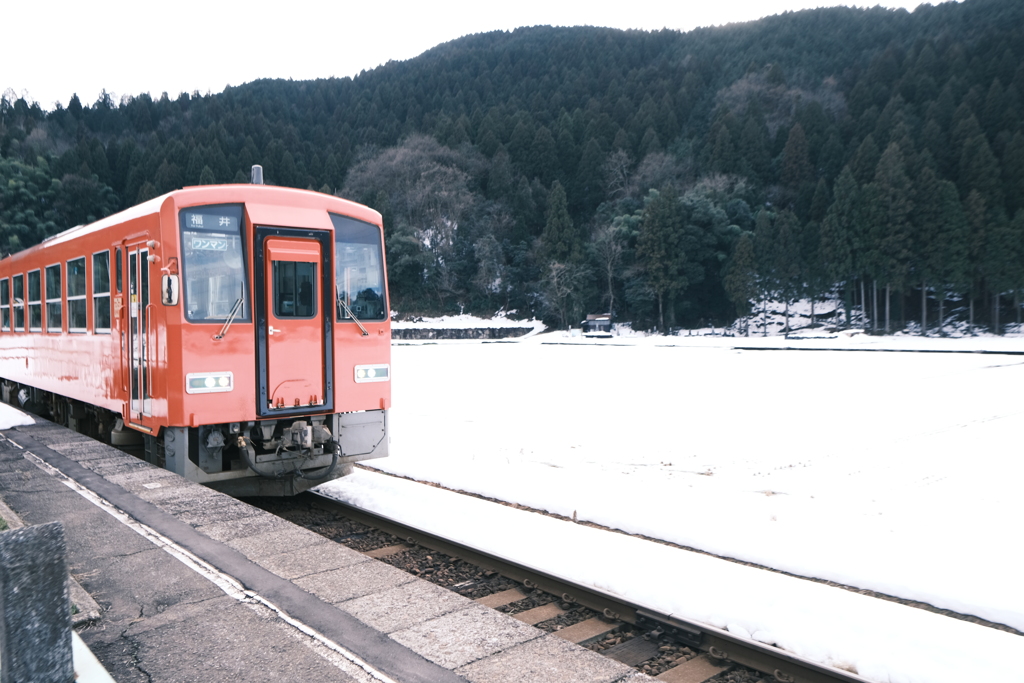 一乗谷駅に来た列車