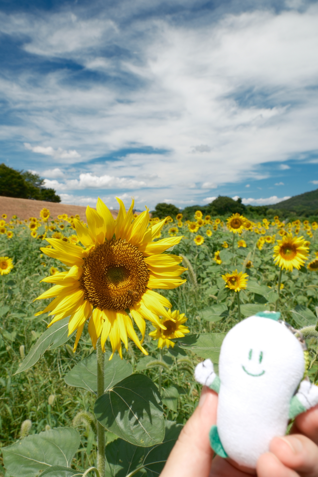 盆休み前の真夏の旅3