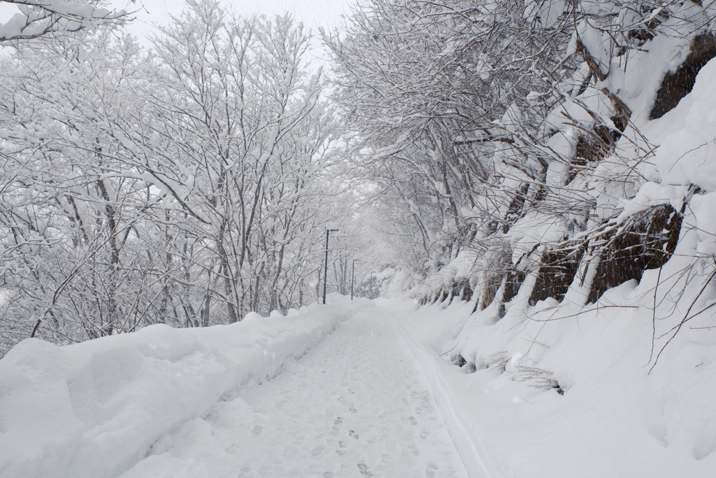 1月末大雪で水漏れの被害に、たまたまの年休で1泊2日の旅へ３３