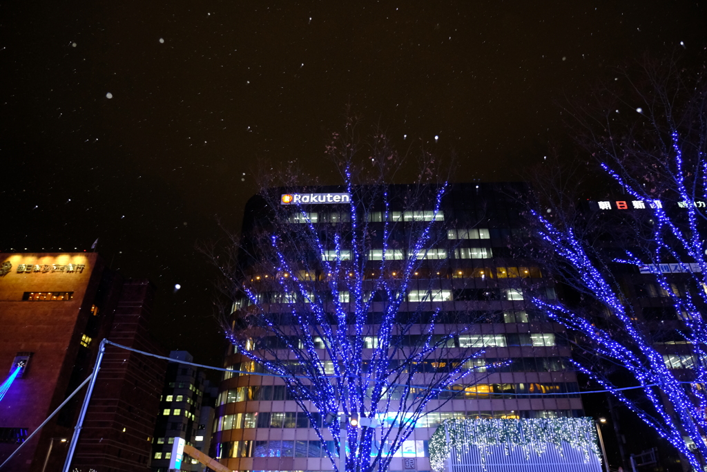 イルミネーションを見ていたら雪が降ってきたっす３