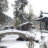 1月末大雪で水漏れの被害に、たまたまの年休で1泊2日の旅へ１０