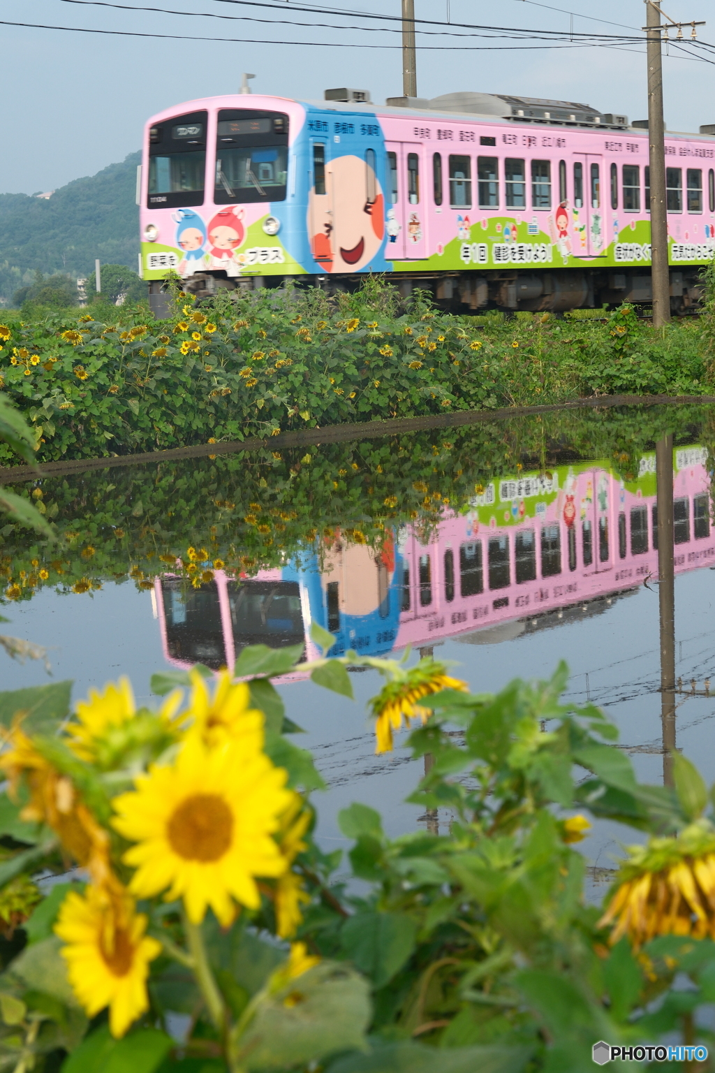 ある日の朝の散歩３