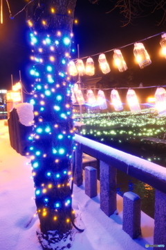 イルミネーションinひみ５