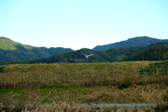 祖母宅付近でのお写ん歩１