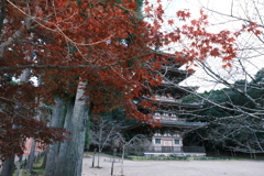 醍醐寺の紅葉１