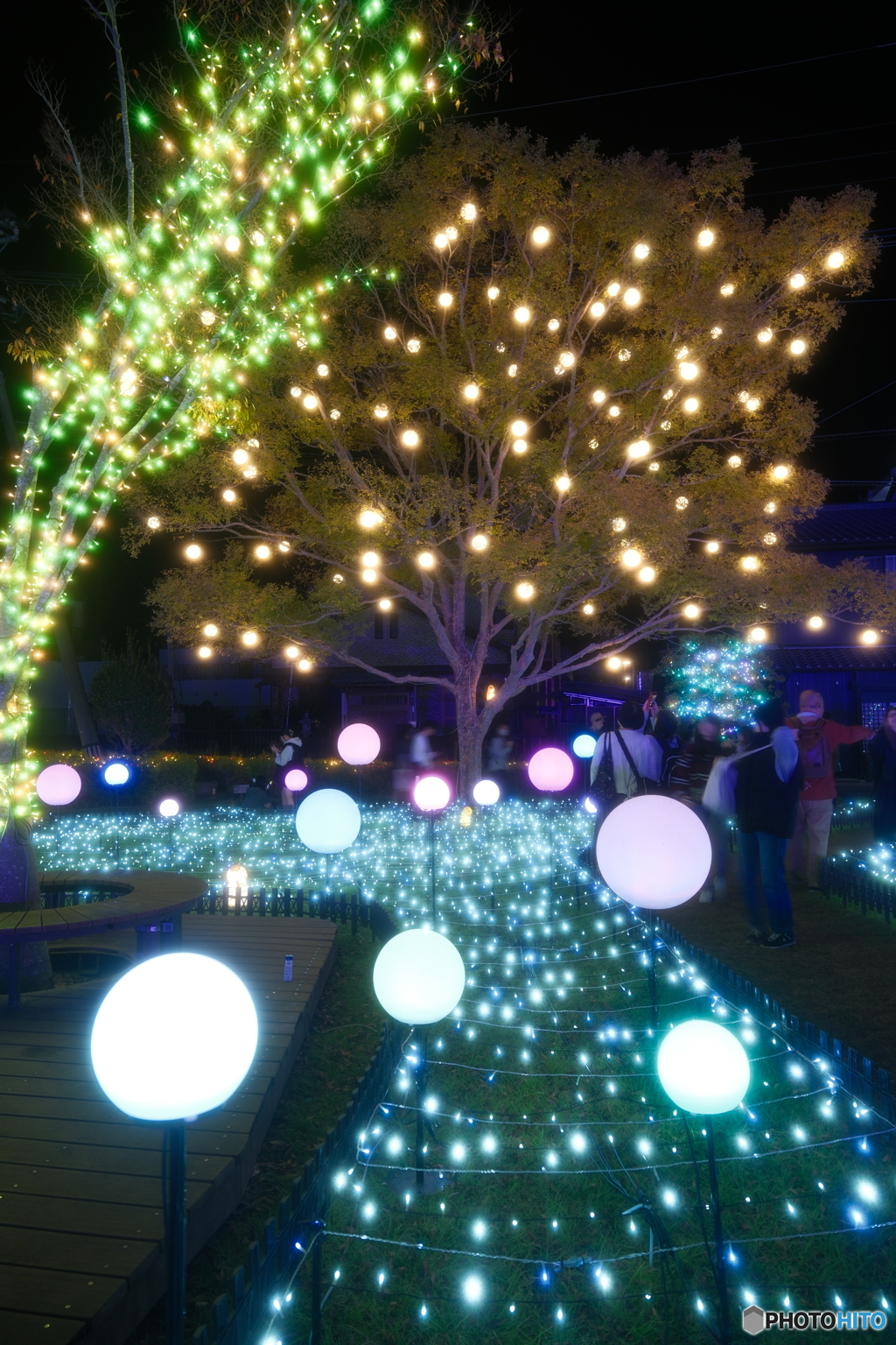 都城まちなかイルミネーション2025-4