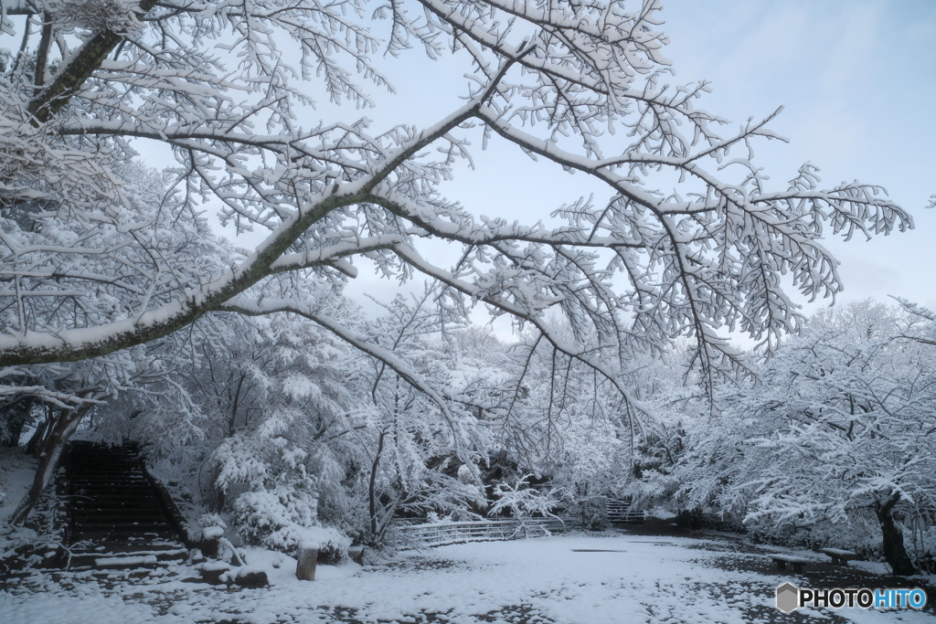 年末最終夜勤明けの近場３