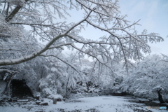 年末最終夜勤明けの近場３