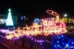 チューリップ公園KIRAKIRAミッション2024-7