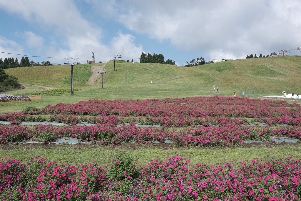 びわこ函館山にて