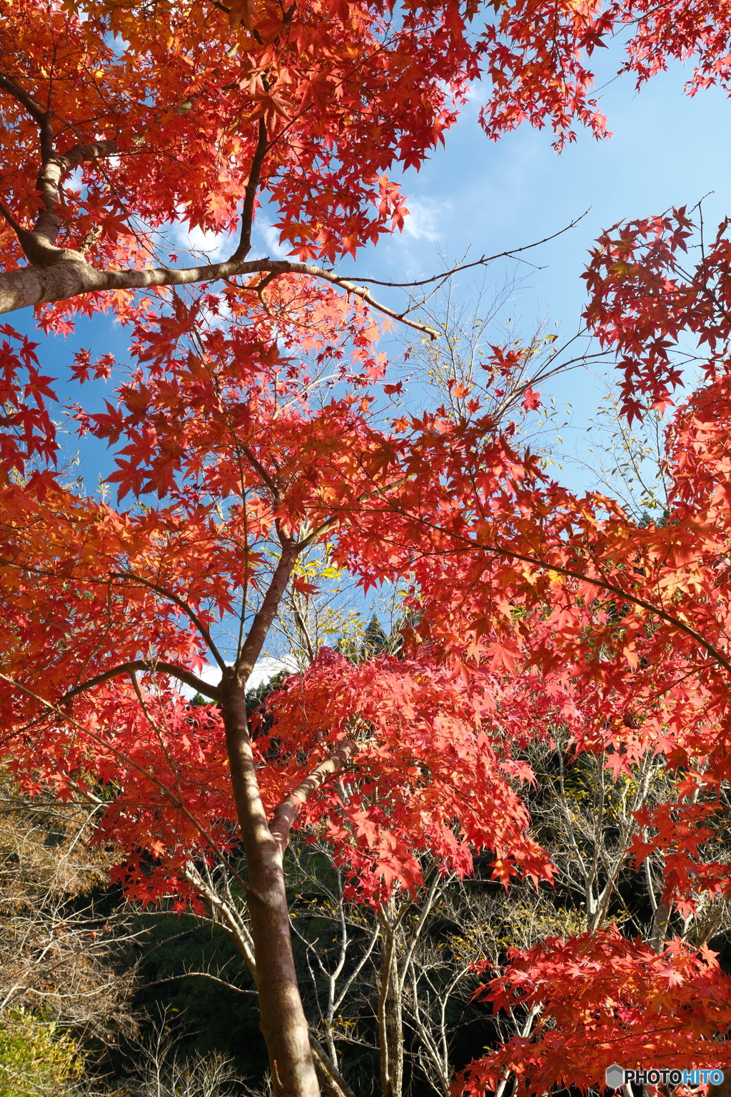 秘境で穴場な紅葉の旅１６